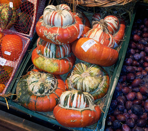 Bischofsmütze - Bishop's hat pumpkins