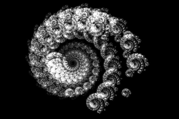 "Ammonites" IFS attractor