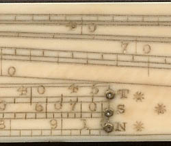 Close-up on ivory sector