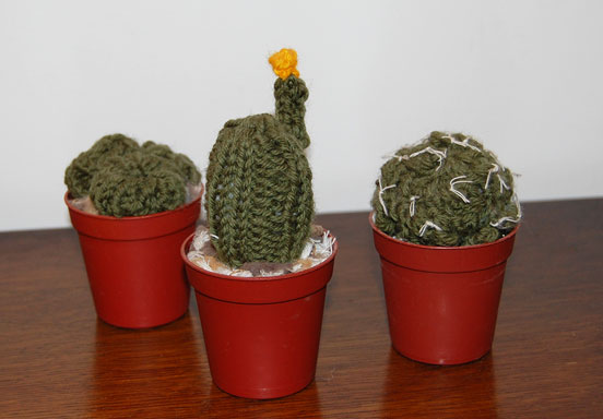 Knit cacti