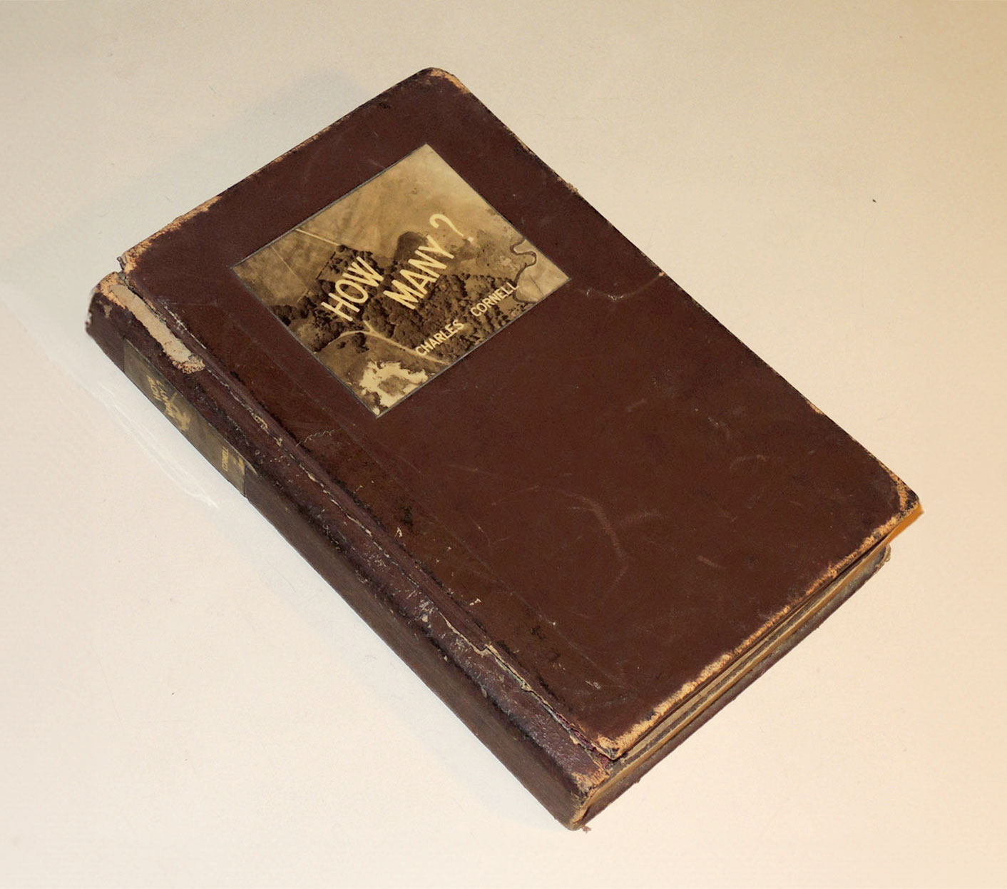 “How many?” by Charles Cornell